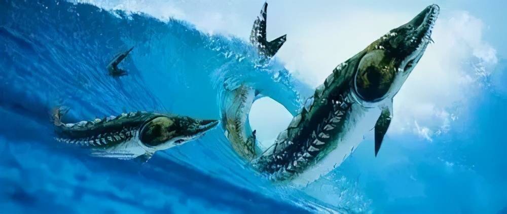 原创 黄河里的淡水鱼被冲进大海后,能在海水里存活吗?早已进化出对策5