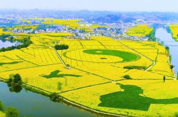 2022重庆春季赏花有哪些地方3