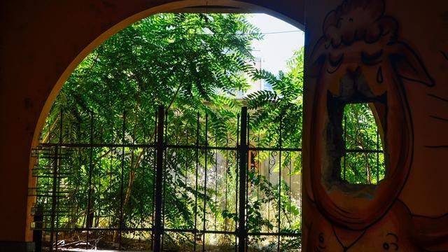 原创 多彩第比利斯,吃的超廉价的樱桃,漫步古老公元四世纪都市13