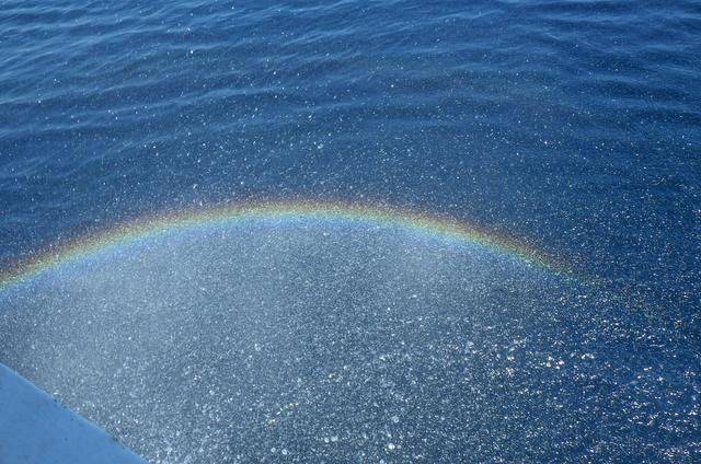 全球最美潜水地之一,印尼这处地方惊艳了,连《前任3》都来取景4