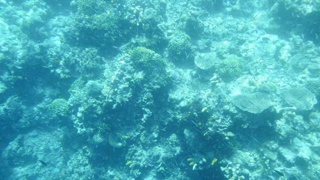 全球最美潜水地之一,印尼这处地方惊艳了,连《前任3》都来取景6