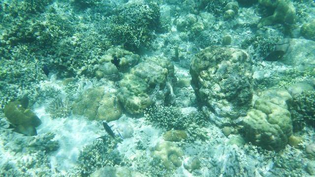 全球最美潜水地之一,印尼这处地方惊艳了,连《前任3》都来取景7