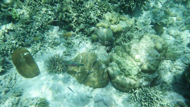 全球最美潜水地之一,印尼这处地方惊艳了,连《前任3》都来取景8