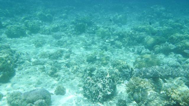 全球最美潜水地之一,印尼这处地方惊艳了,连《前任3》都来取景9