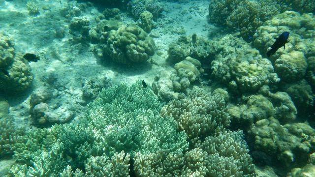 全球最美潜水地之一,印尼这处地方惊艳了,连《前任3》都来取景12