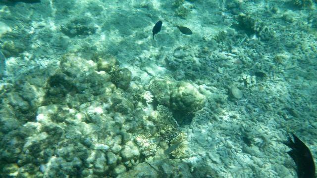 全球最美潜水地之一,印尼这处地方惊艳了,连《前任3》都来取景13