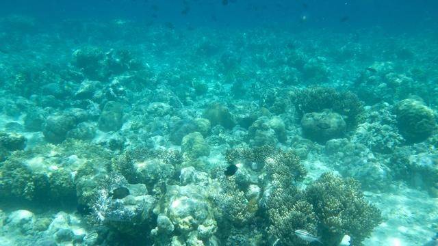 全球最美潜水地之一,印尼这处地方惊艳了,连《前任3》都来取景10