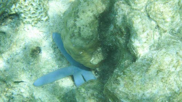 全球最美潜水地之一,印尼这处地方惊艳了,连《前任3》都来取景17