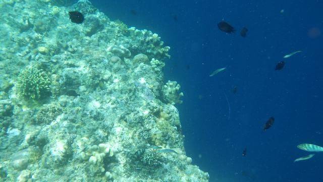 全球最美潜水地之一,印尼这处地方惊艳了,连《前任3》都来取景19