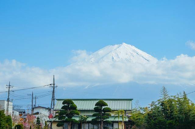 日本小众景点看樱花,景色美还免费,这样的浪漫花海会把人看哭5