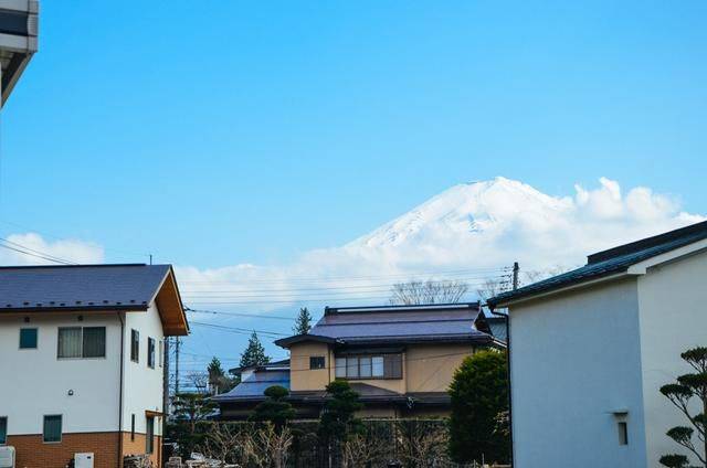 日本小众景点看樱花,景色美还免费,这样的浪漫花海会把人看哭11