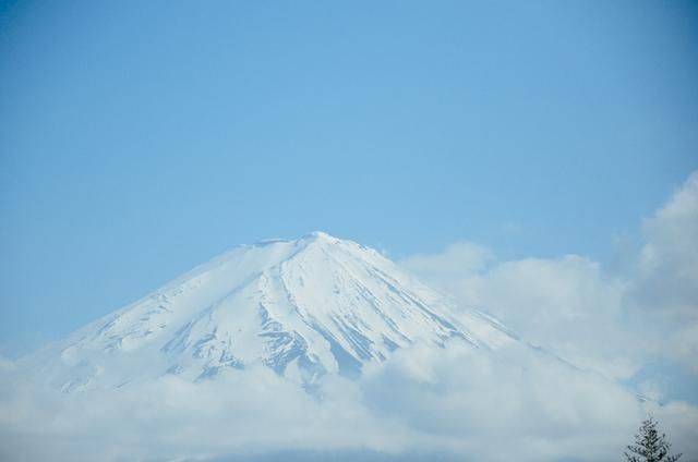 日本小众景点看樱花,景色美还免费,这样的浪漫花海会把人看哭16