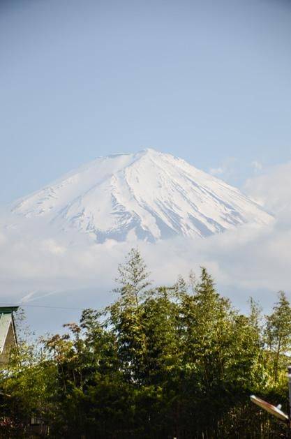 日本小众景点看樱花,景色美还免费,这样的浪漫花海会把人看哭20