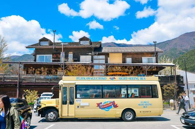 不负春光,一辈子一定要去日本看一次樱花雨,浪漫无比6