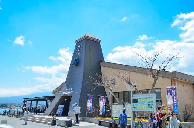 不负春光,一辈子一定要去日本看一次樱花雨,浪漫无比7