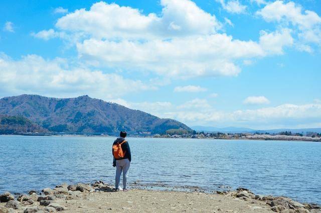 不负春光,一辈子一定要去日本看一次樱花雨,浪漫无比9