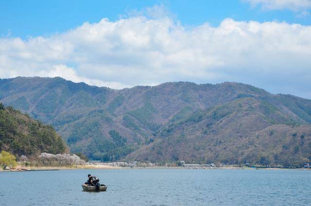不负春光,一辈子一定要去日本看一次樱花雨,浪漫无比10