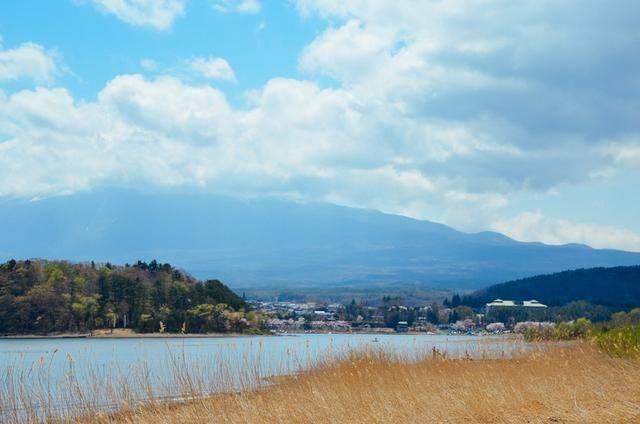 不负春光,一辈子一定要去日本看一次樱花雨,浪漫无比13