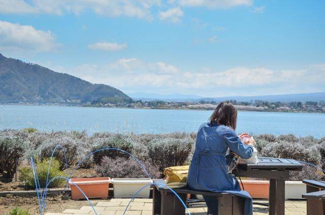 不负春光,一辈子一定要去日本看一次樱花雨,浪漫无比15