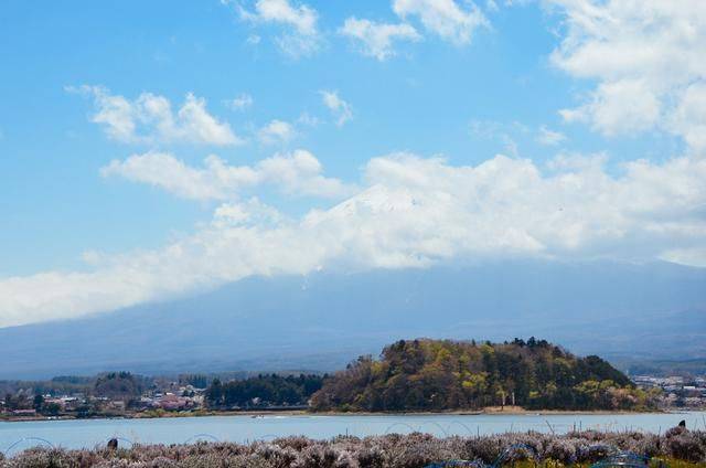 不负春光,一辈子一定要去日本看一次樱花雨,浪漫无比16