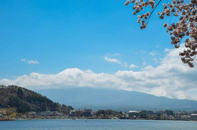 不负春光,一辈子一定要去日本看一次樱花雨,浪漫无比19