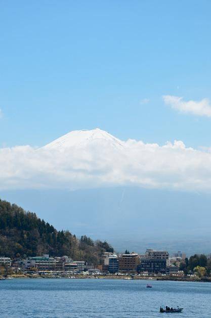 不负春光,一辈子一定要去日本看一次樱花雨,浪漫无比21