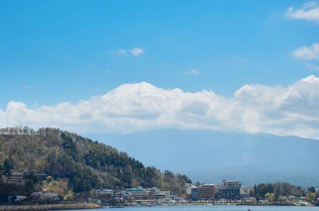 不负春光,一辈子一定要去日本看一次樱花雨,浪漫无比22