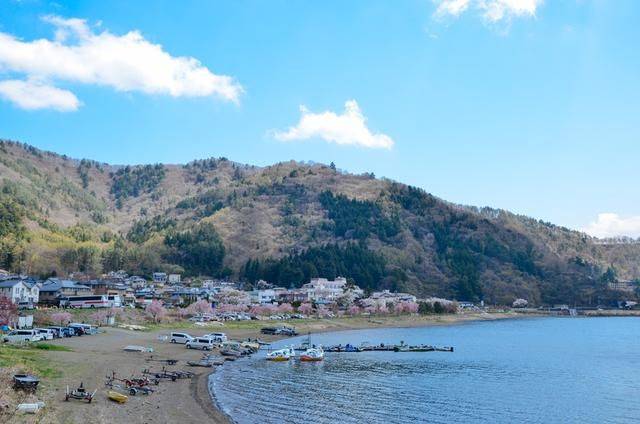 不负春光,一辈子一定要去日本看一次樱花雨,浪漫无比23