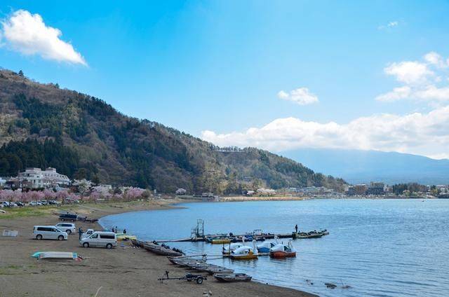 不负春光,一辈子一定要去日本看一次樱花雨,浪漫无比24