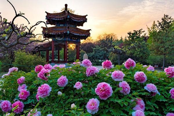 2022年国内春天最值得去旅游的城市3