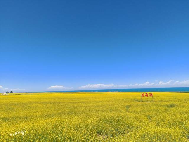 边玩边养老，旅居青海、甘肃，看醉美大西北（中）2