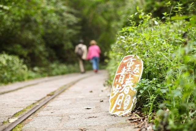 这三个地方,是旅居养老的绝佳选择,你去过吗?1