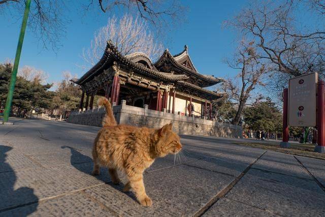 太原城郊有个花样繁多的戏台,光听名字就可以感受厚重的文化积淀12