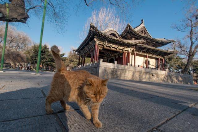太原城郊有个花样繁多的戏台,光听名字就可以感受厚重的文化积淀13