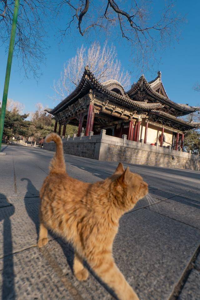 太原城郊有个花样繁多的戏台,光听名字就可以感受厚重的文化积淀14