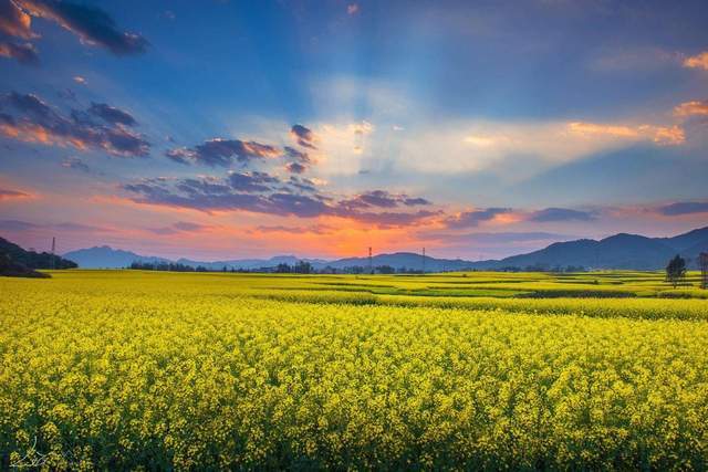 2月份最适合旅行的4个地方,感受早春暖阳,不负最美风光1