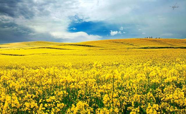 2月份最适合旅行的4个地方,感受早春暖阳,不负最美风光2