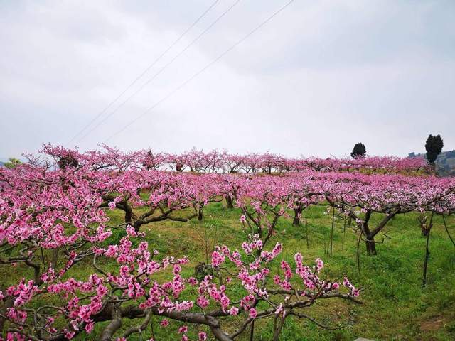 2月份最适合旅行的4个地方,感受早春暖阳,不负最美风光5
