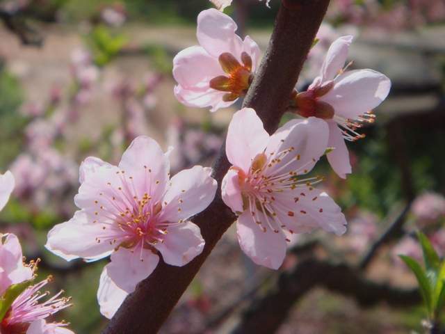 2月份最适合旅行的4个地方,感受早春暖阳,不负最美风光6
