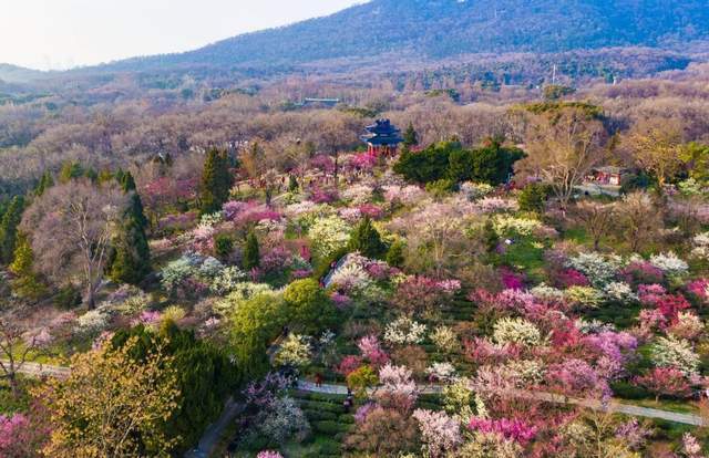 2月份最适合旅行的4个地方,感受早春暖阳,不负最美风光7