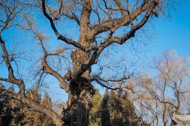 中国最古老的祠堂式园林建筑，就在太原，为纪念姜子牙女儿而建9
