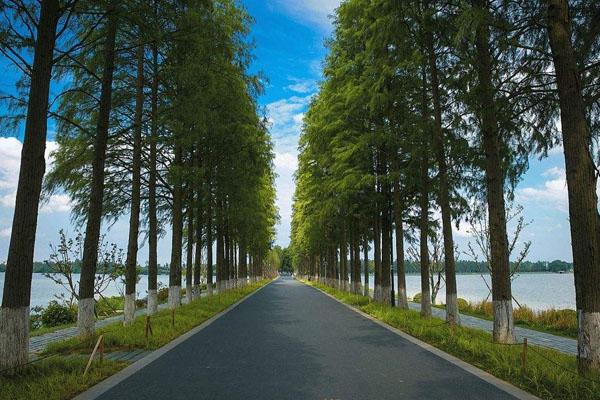 武汉适合骑行徒步的地方 最佳路线推荐2