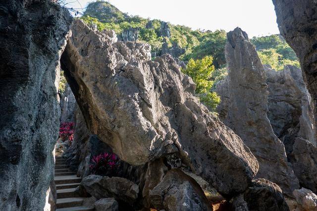 不用去云南，在广东也有个石林，一般人还不知道4