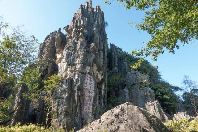 不用去云南，在广东也有个石林，一般人还不知道5