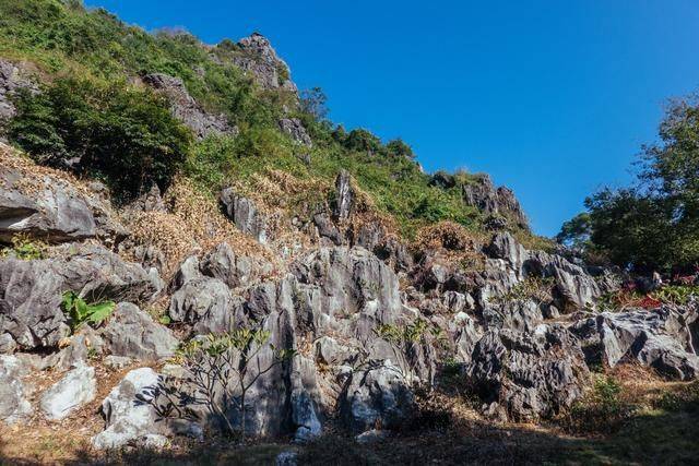 不用去云南，在广东也有个石林，一般人还不知道6