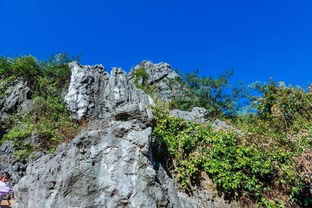 不用去云南，在广东也有个石林，一般人还不知道7