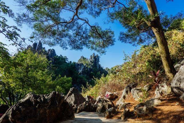 不用去云南，在广东也有个石林，一般人还不知道8