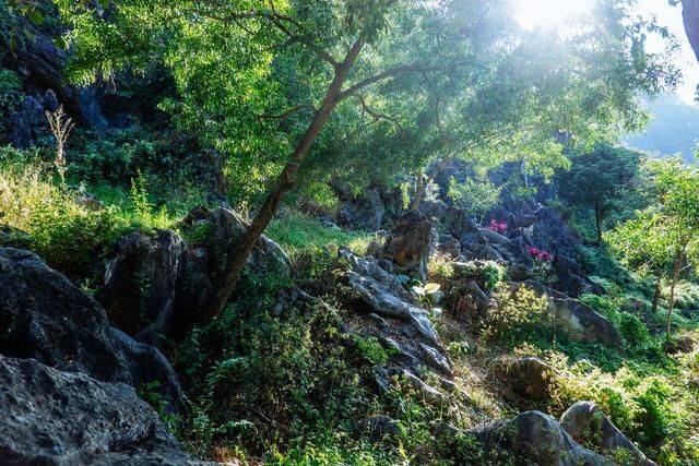 不用去云南，在广东也有个石林，一般人还不知道9