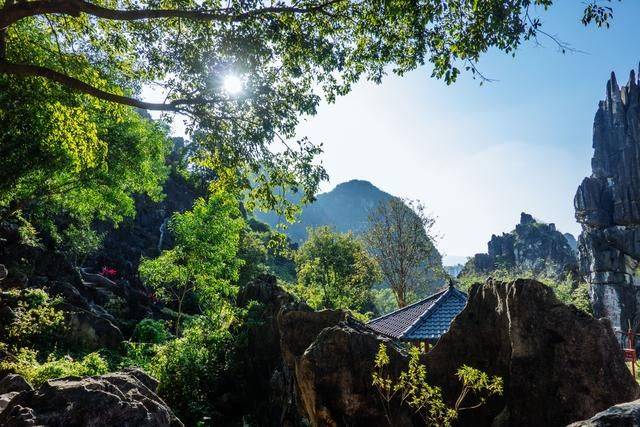 不用去云南，在广东也有个石林，一般人还不知道10