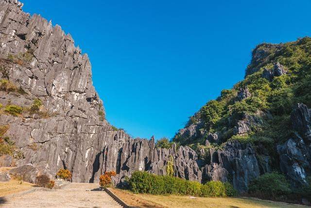 不用去云南，在广东也有个石林，一般人还不知道14